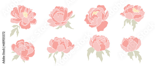 Set of peony flowers and buds. Vector graphics.