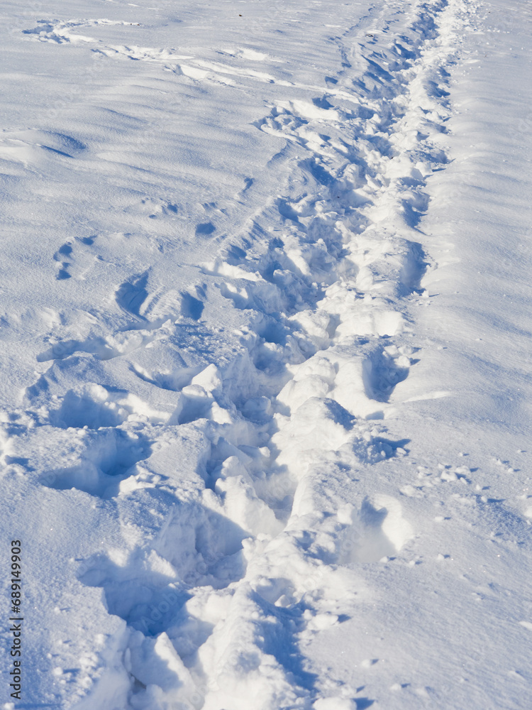 Footpath in a snow-covered field Footpath in a snow-covered field