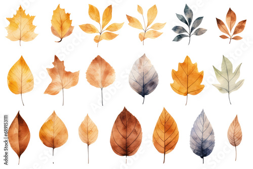 Beautiful Watercolor Set Of Autumn Leaves For Various Designs, Transparent White Background , Png.