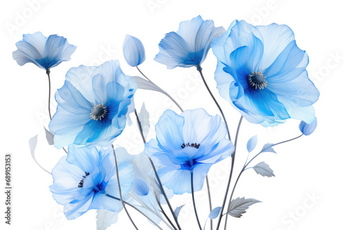 Gorgeous Blue Flower Against Transparent Background  Transparent White Background  Png.