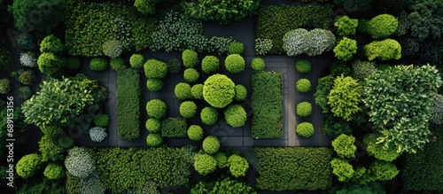Gardener s aerial view of w...