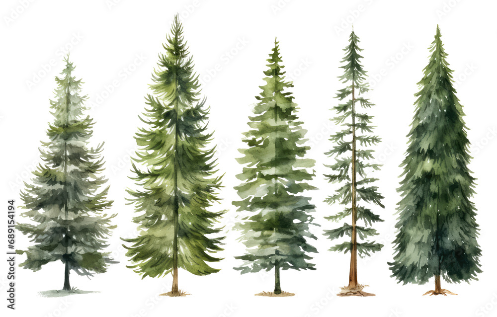 Christmas Trees Image, Transparent White Background, Png.