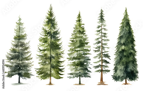 Christmas Trees Image  Transparent White Background  Png.