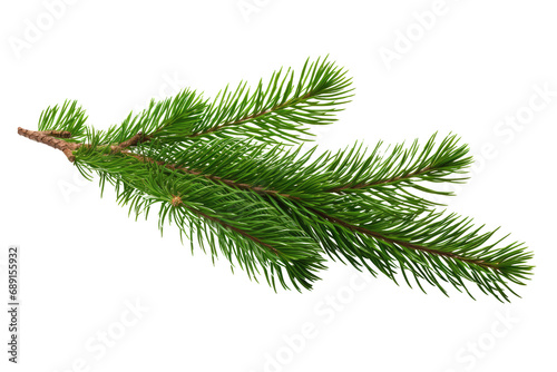 Christmas Pine Twig On Transparent White Background  Png.
