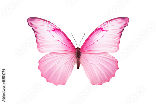 Pink Butterfly On A Plain White Background, Transparent White Background, Png. © Ян Заболотний