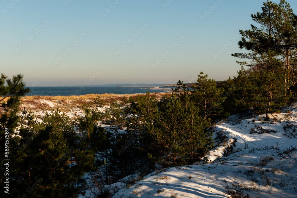 Widok na zaśnieżone wydmy, las i morze