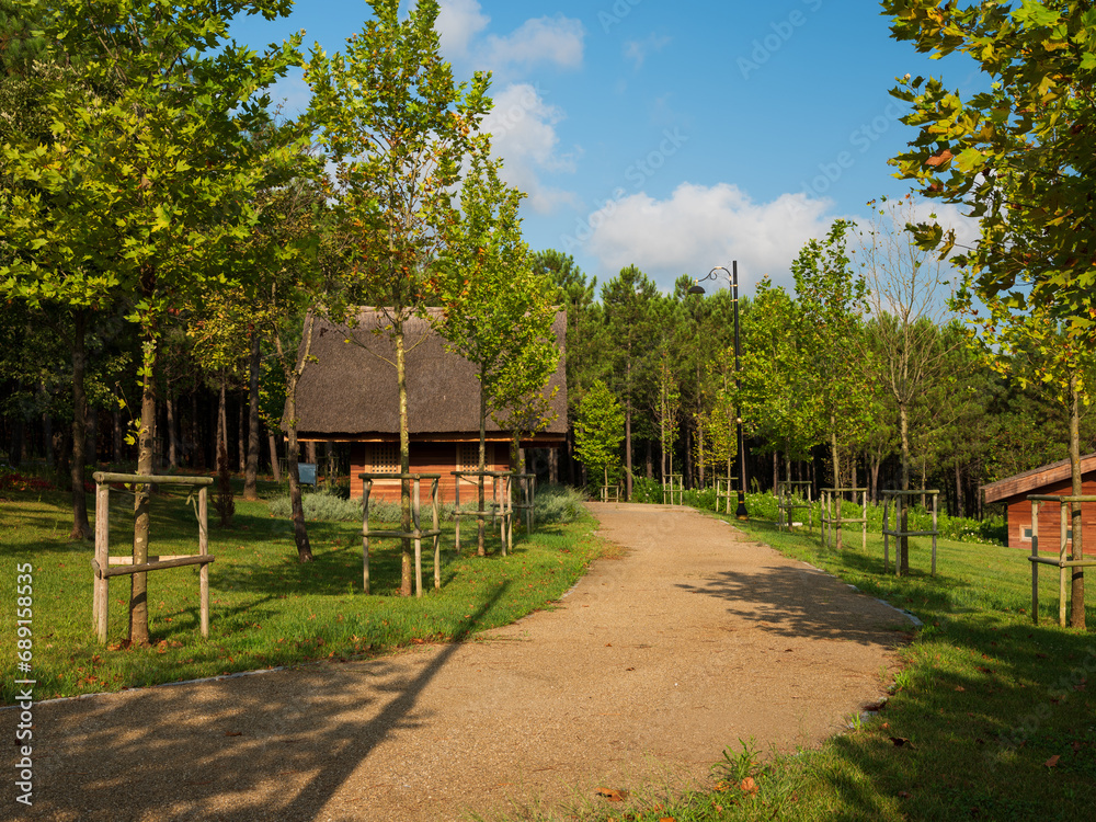 Park walkway. Park landscaping. 