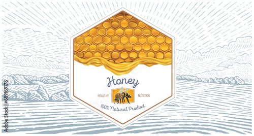 Combined illustration, which includes of a honeycomb filled with honey, with a bee and a rural landscape in the background. Form of a set as a label layout,  Vector illustration.