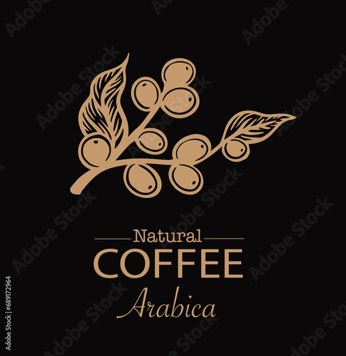 logo design template of coffee tree on sketch ink drawing for label packaging, sticker, poster, promotion, banner, t-shirt, tote bag, stamp