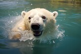 Swimming Polar Bear In Water. Сoncept Ocean Wave Landscape, Hiking Adventure, Fall Foliage, Urban Street Art