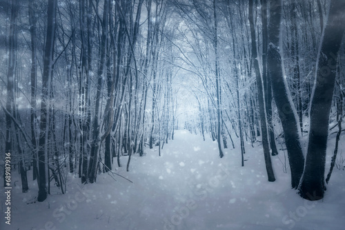 surreal winter woods landscape, forest path during blizzard photo
