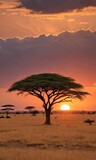 Sunset On African Plains With Acacia Tree.