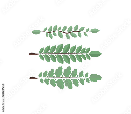 Hand-drawn laurel branch. Leaves victory line. Champion winner branch logo.