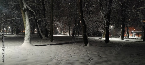 Zima Las Park Noc 