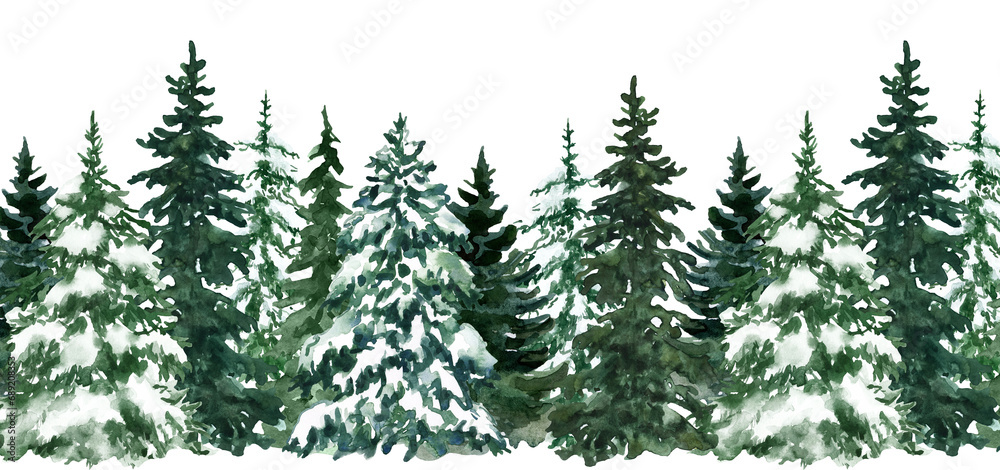 Fototapeta premium Watercolor evergreen forest illustration. Pine trees seamless border. Winter landscape representing coniferous plants. PNG clipart.