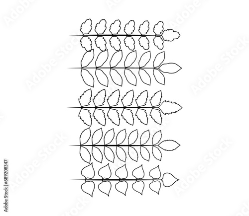 Hand-drawn laurel branch. Leaves victory line. Champion winner branch logo.
