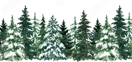 Watercolor evergreen forest illustration. Pine trees seamless border. Winter landscape representing coniferous plants. PNG clipart.