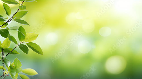 Serene Spring Background with Lush Green Tree Leaves on Blurred Nature Landscape - Fresh Foliage and Sunshine Creating a Vibrant Seasonal Environment.