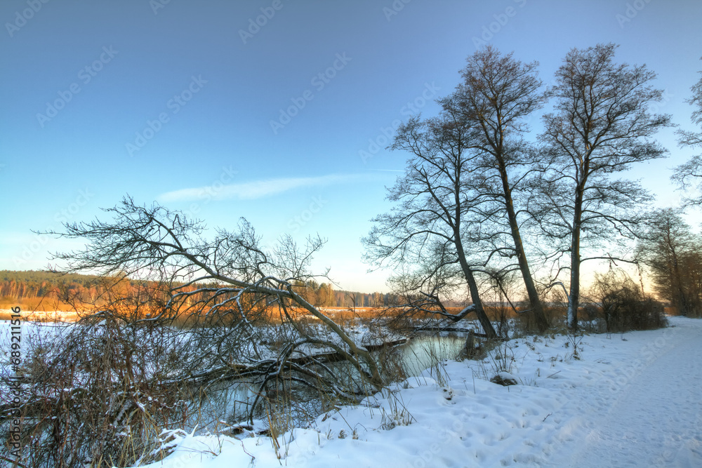landscape winter trees and fields covered by snow in Poland, Europe on sunny day in winter, amazing clouds in blue sky	, river valley