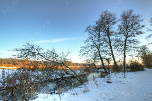 landscape winter trees and fields covered by snow in Poland, Europe on sunny day in winter, amazing clouds in blue sky , river valley