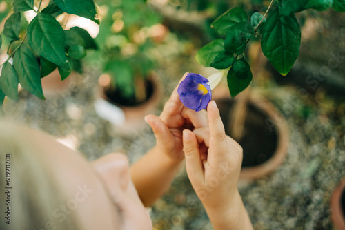 Close-up of a young girl's hands carefully holding a delicate purple flower, showcasing a moment of tenderness photo