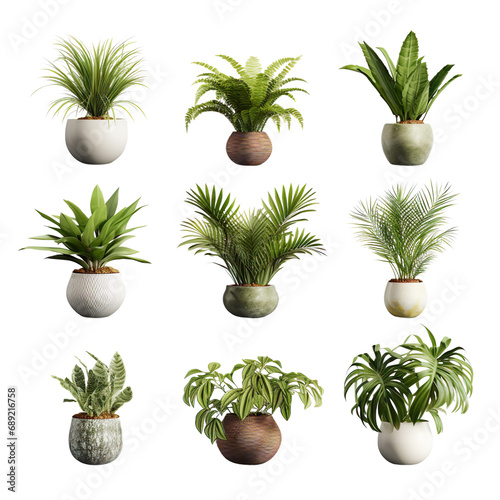 Potted tropical plant on transparent background or PNG file made with Ai generative technology