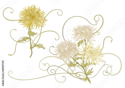 Chrysanthemum decorative flowers and leaves in art nouveau style, vintage, old, retro style. Clip art, set of elements for design. Vector illustration