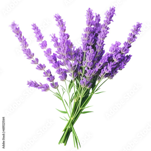 bunch of lavender on a transparent background