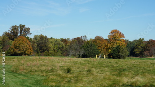 The beautiful autumn view with the colorful trees and leaves in the park