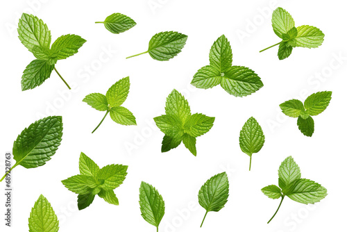 Fresh mint leafs isolated on transparent or white background PNG