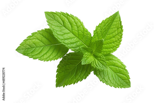 Fresh mint leafs isolated on transparent or white background PNG