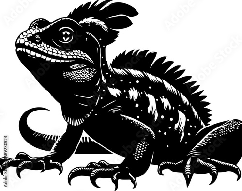 iguana on a white background