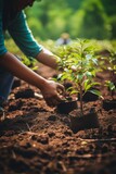 Green Hands of Hope: Planting Trees on International Earth Day