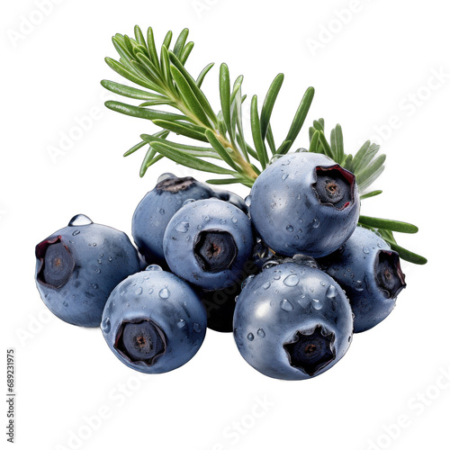 Juniper Berry isolated on transparent background