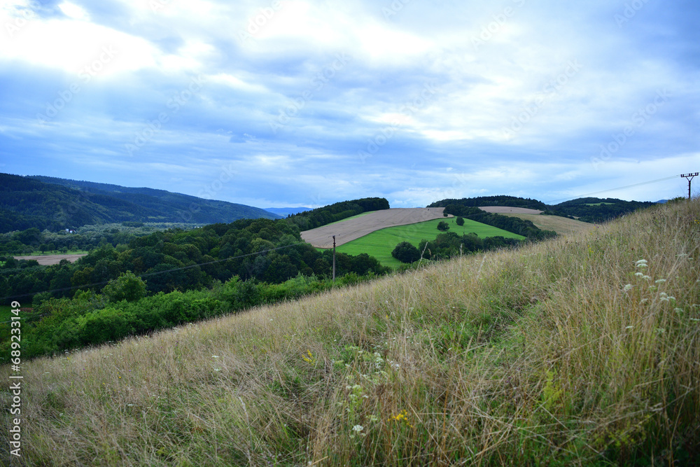An agricultural tractor mows grass in meadows near forests in autumn