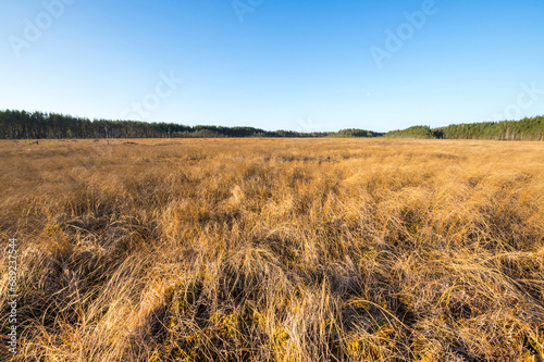 View of the marsh in the autumn