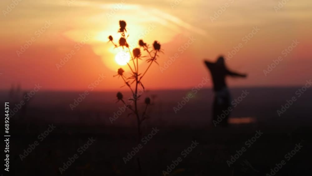 Prickly flower with a girl dancing against it