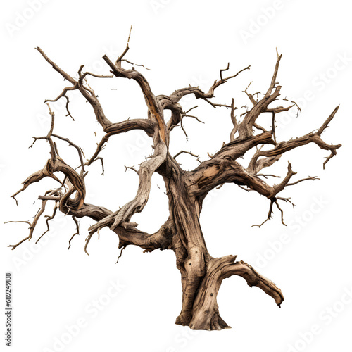 tree on transparent background PNG is easy to decorate and use.