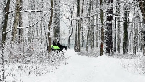 Russia, St.Petersburg, 02 December 2023 - Mounted police on two horses control the order in a winter public park in a snowstorm, snow flakes are falling, The Ministry of Internal Affairs of Russia