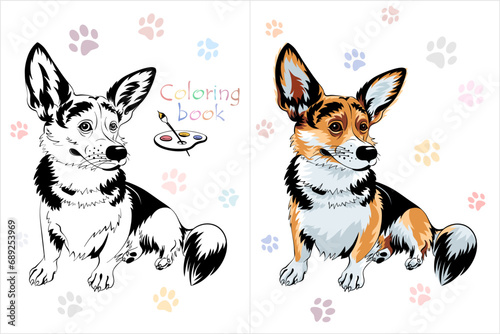 Vector Coloring Book page 1 of dog Pembroke Welsh corgi breed sitting and smiling