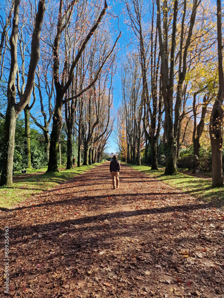 Porto, Portugal; 12 01 2022: Man walking through a park with the leaves of the trees fallen in autumn. Finding the inspiration that comes from connecting with nature. Porto, Portugal; 12 01 2022: Man walking through a park with the leaves of the trees fallen in autumn. Finding the inspiration that comes from connecting with nature.
