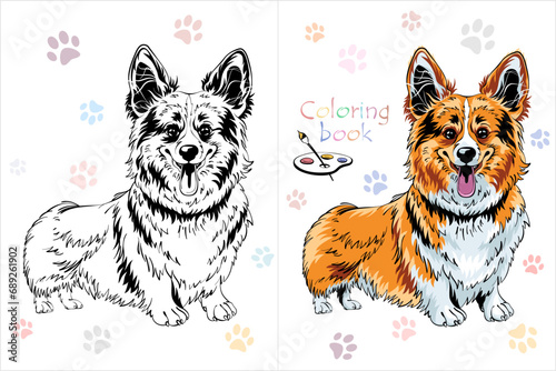 Vector Coloring Book page 3 of dog Pembroke Welsh corgi breed staying and smiling