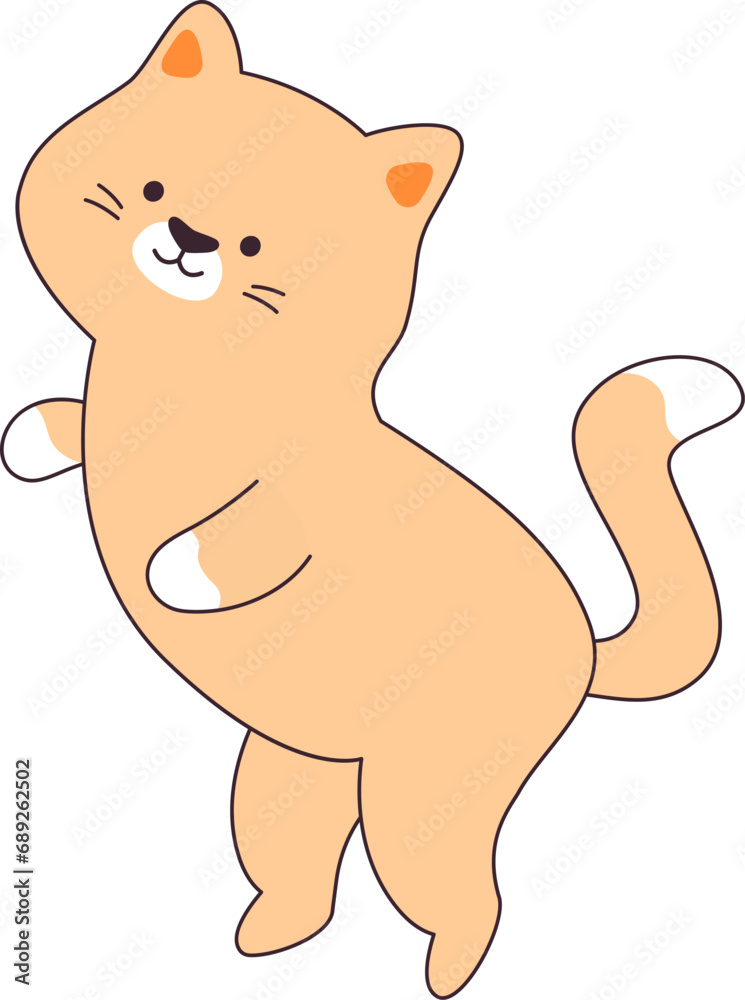 Cat Funny Pet Cat Funny Pet