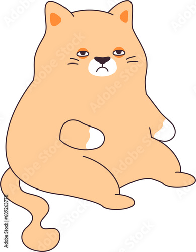 Sitting Cat Pet