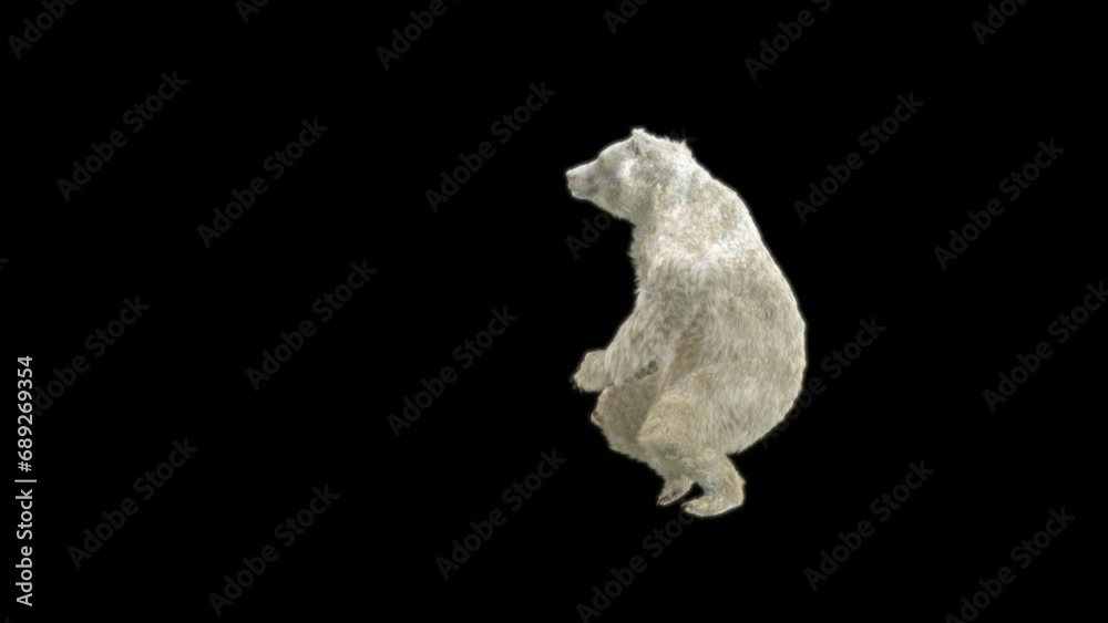 Bear Dancing CG fur 3d rendering animal realistic composition 3d mapping cartoon, Included in the end of the clip with Luma matte. Bear Dancing CG fur 3d rendering animal realistic composition 3d mapping cartoon, Included in the end of the clip with Luma matte.