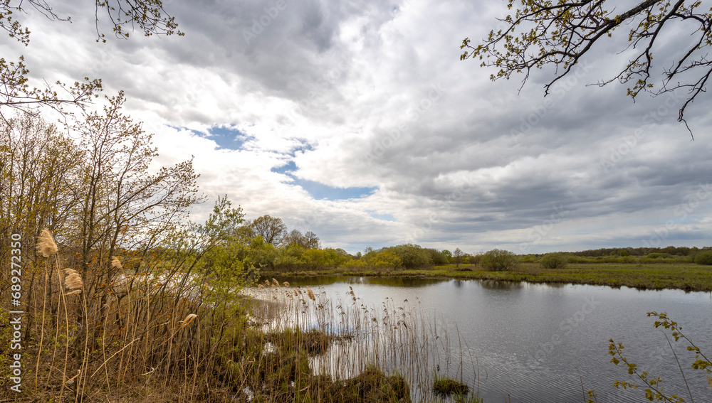 Obraz premium the gloomy sky is reflected in the pond. Spring landscape. Young grass along the river bank.