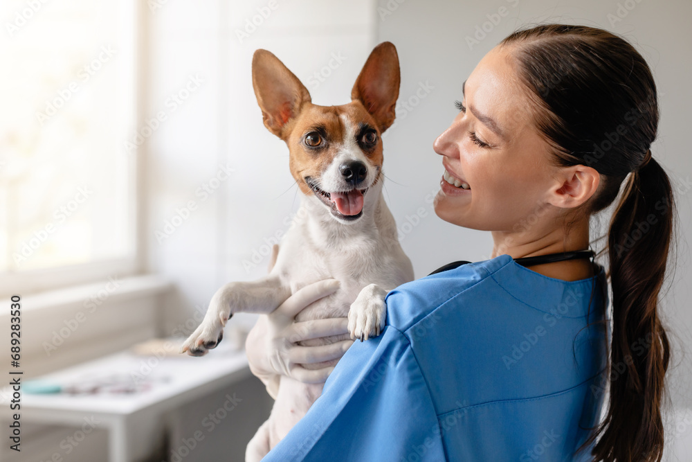 Vet holds happy dog for checkup Vet holds happy dog for checkup
