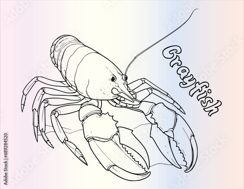 Crayfish In Sea Coloring Pages Drawing For Kids
