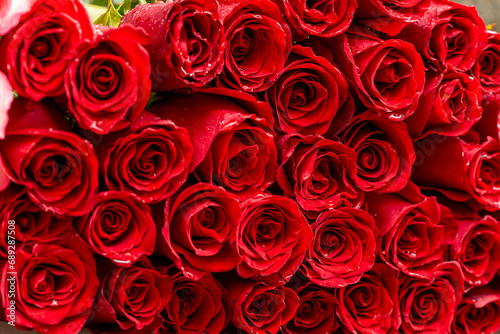 Fototapeta Naklejka Na Ścianę i Meble -  bouquet of red roses best gift 14 february valentines day