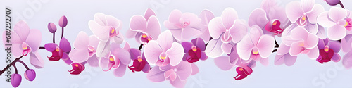 simple illustration of orchid flowers background banner